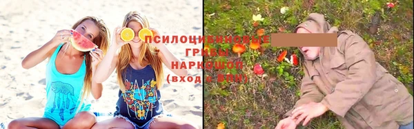 соль ск Белокуриха